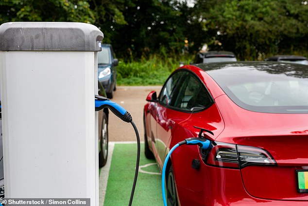 61% would consider an electric vehicle if the Government implemented one of four financial incentives: from cutting VAT on public charging to reintroducing a subsidy for electric vehicles.