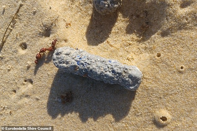 The mysterious objects (pictured) were found on six beaches near Dalmeny and Narooma on the New South Wales south coast.