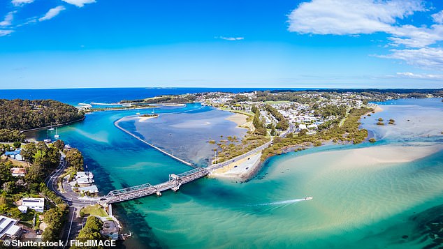 The discovery forced officials to close several beaches along the state's southern coast last week over public safety concerns (Narooma file image).