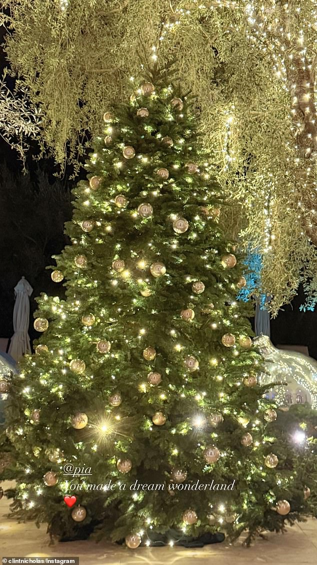 A second image showed a much larger tree, outside the house, which was filled with yellow lights and adorned with large gold ornaments.