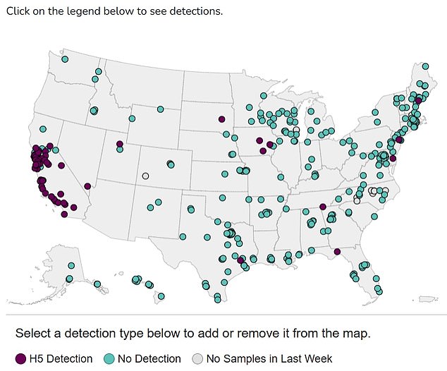 The above shows detections of bird flu in wastewater. There is a cluster of detections in the California region