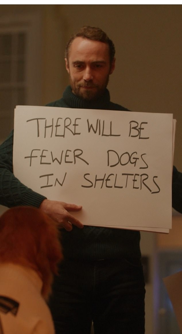 James' messages highlight the reality that hundreds of dogs are given to friends and family during Christmas, only to be abandoned on New Year's.