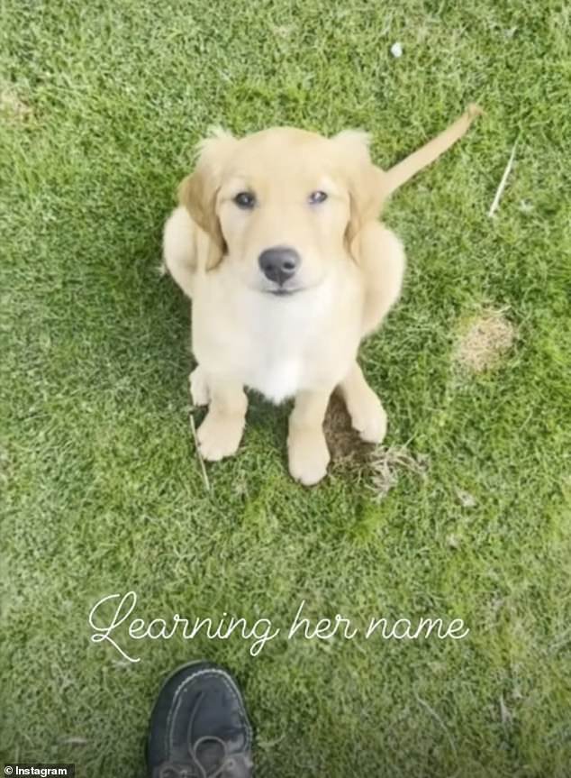 The Princess of Wales' younger brother, 35, took to Instagram yesterday to introduce the newest member of his flock, whom he named Isla (pictured).