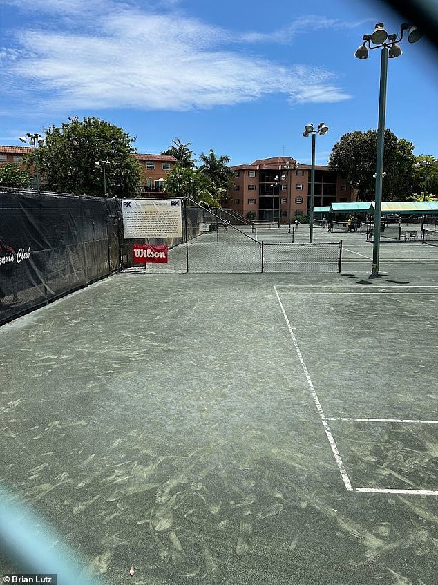 A federal complaint, filed in September, alleges that the South Florida-based tennis coach engaged in sexual conversations with the 15-year-old athlete using Snapchat, a popular social media app. Pictured: The Lauderdale Tennis Club in Fort Lauderdale