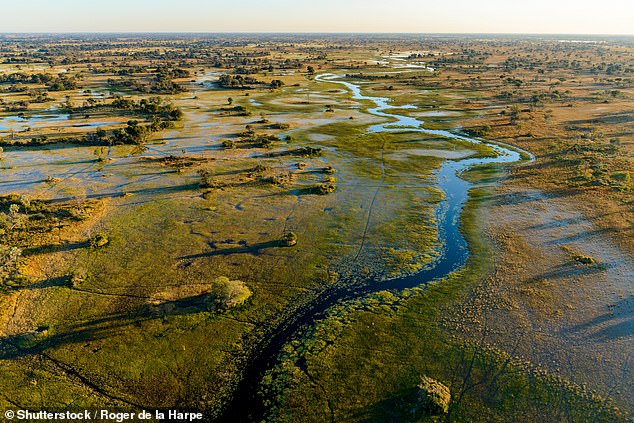 This aerial shot shows the stunning Okavango Delta in Botswana, a place that, according to Eli, 