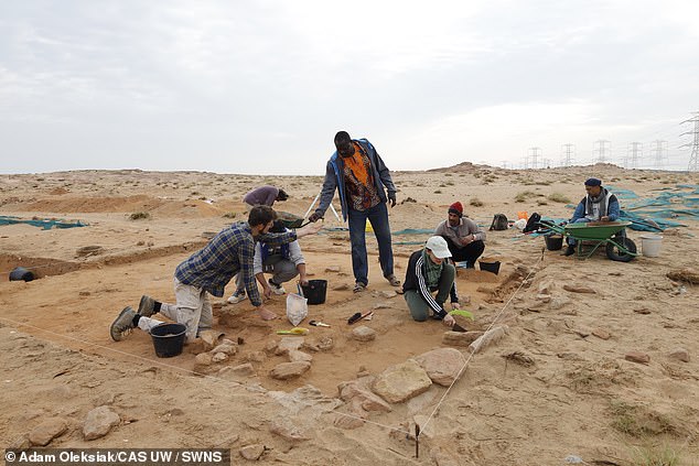 Researchers discovered the unusual shape while excavating at a site in Kuwait called Bahra 1.