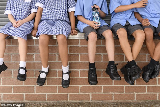 Mother claims much-loved community school now has unruly classrooms and schoolyard bullying (file image)