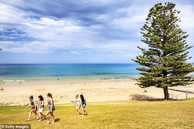 Norman hopes to arrive in Melbourne in the coming days, where he will move into a waterfront mansion in Torquay, a seaside town known for its pristine beaches (pictured).