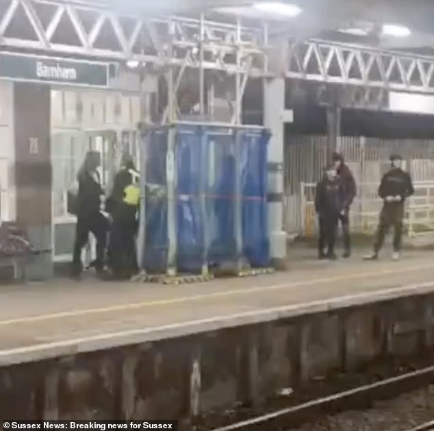 The five girls, who cannot be named for legal reasons, threw punches, headbutted and pulled out hair in an incident at Barnham train station in West Sussex in March.