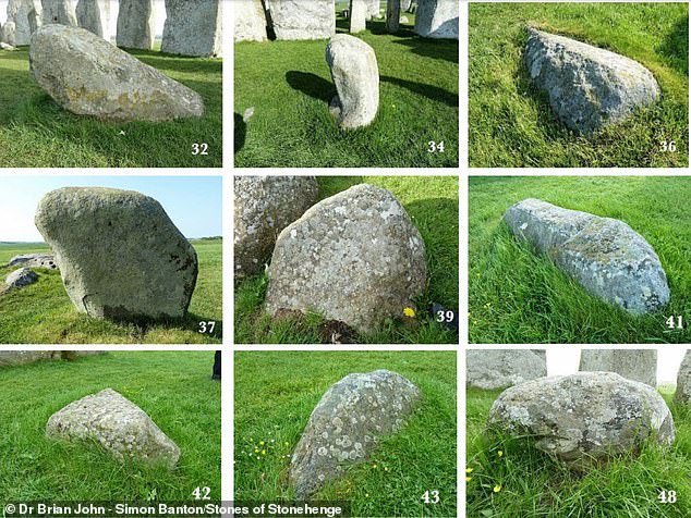 Meanwhile, around 80 smaller 'bluestones' (pictured) - stones that have a bluish tint when freshly broken or when wet - came from Wales.