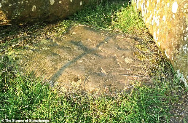 Researchers say the Stonehenge Altar Stone (pictured) came from Scotland. Lying in the center, the six-ton, five-meter-long rectangular Altar Stone is a greenish-gray sandstone.