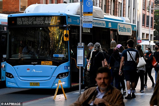 The European traveler took several buses and light trains, as well as visiting supermarkets, a cinema and a health clinic (a bus in Sydney is pictured).