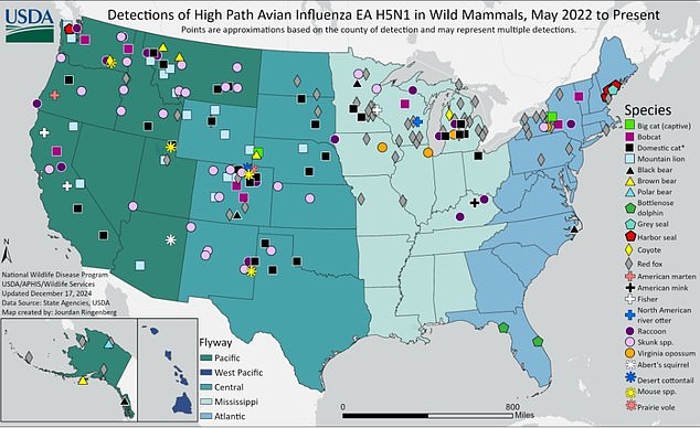 This map shows cases of the virus detected in wild mammals, such as red foxes and seals.