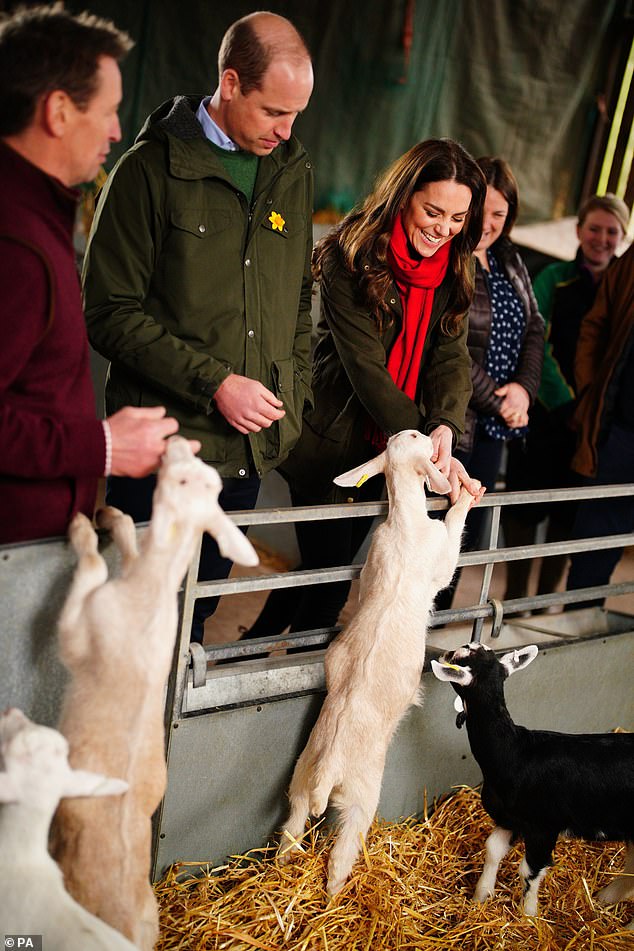 Prince William, 42, and Kate, also 42, aim to boost mental health support for rural and farming communities in north-west Norfolk (pictured at Pant Farm near Abergavenny in 2022)