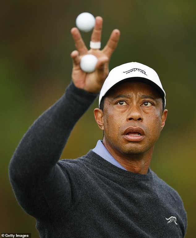 Woods said recovery is more difficult than ever, but added that it is 