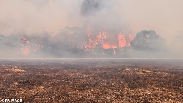 The uncontrolled forest fire (pictured) continues despite the efforts of firefighters.