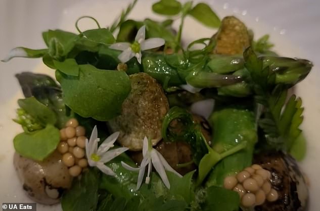 'A Taste of Spring': Petite Jersey Royals with Asparagus, Lincolnshire Poacher Cheese and Pickled Mustard Seeds. The UA says it looks like an 'elven forest'