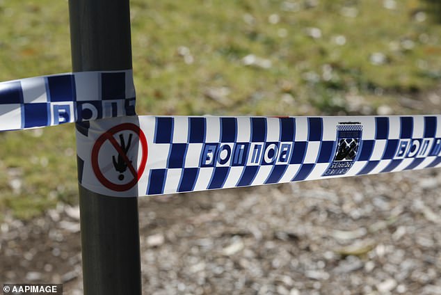 A man has been arrested after a female police officer was allegedly attacked with a sword in a horror incident (file image pictured)