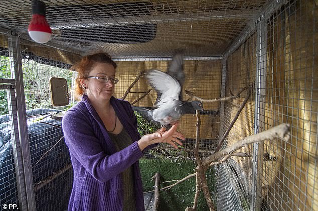 The council has accused its aviaries of attracting vermin due to bird droppings and food scraps left on the ground.