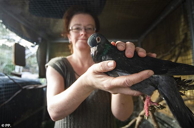 Elizabeth has always rescued animals and took in stray dogs as a child.