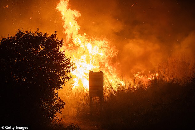 Pictured: The Franklin Fire burns next to power lines on the Pacific Coast Highway near Malibu, California during the morning of December 11, 2024