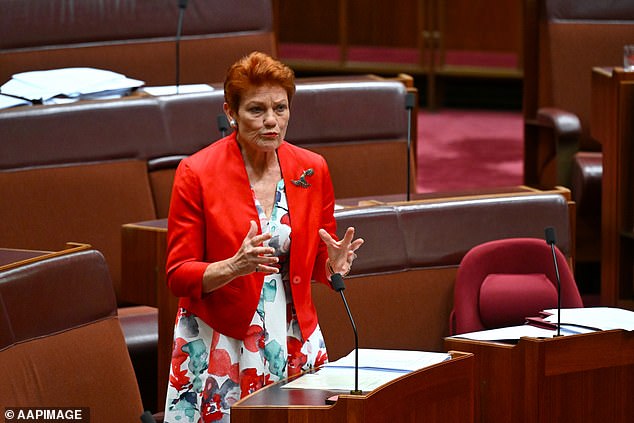 Pauline Hanson's One Nation party kept Mihailuk in the dark about administrative funding, he claimed