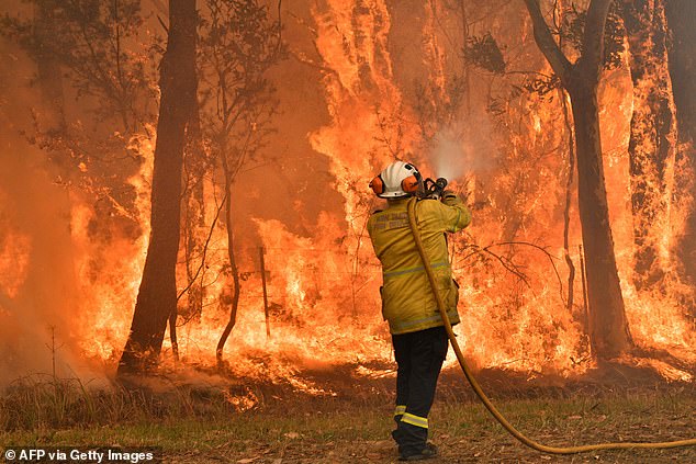 The summer bushfire outlook for 2024 has indicated much of Australia is at increased fire risk.