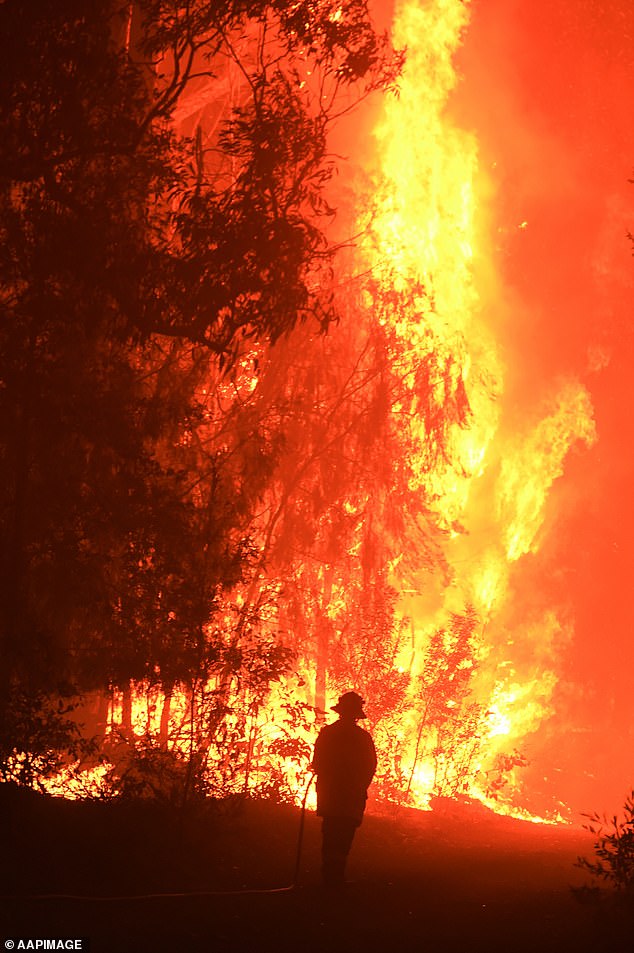 The warning comes five years after the devastating Black Summer bushfires wreaked havoc across Australia.