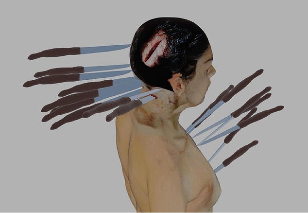 This graphic shows the knife wounds Ellen suffered to her neck and chest, which pierced her brain and severed her spinal cord.