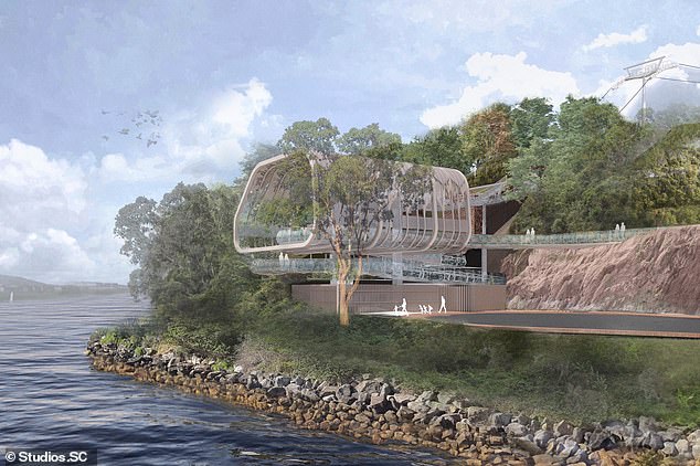 An artist's impression of the new Sky Safari cable car, which is currently being considered by the New South Wales government for approval.