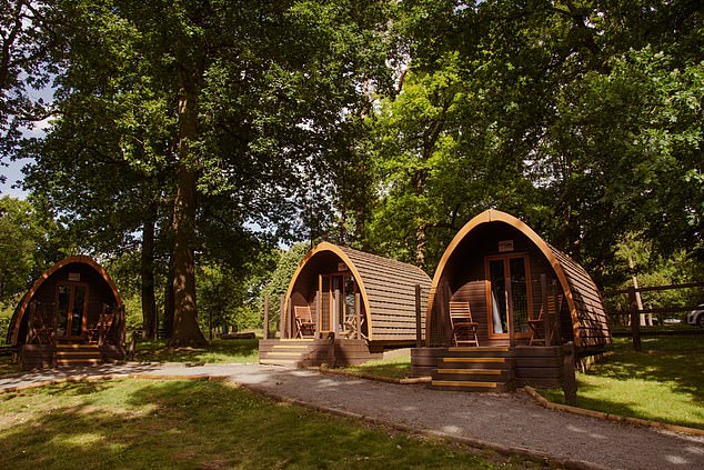 Simple log cabin with a small terrace in Whipsnade, where the accommodation does not overlook the animals.