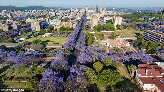 Pistorius should avoid the nightclubs of Pretoria (pictured) and Johannesburg and lead as reflective and secluded a life as possible