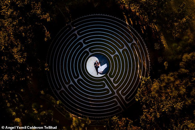 The winner of ' Desde Arriba ' went to Yamil Calderón Telltitud in Mexico. It was taken in a boutique hotel in the middle of the forest.