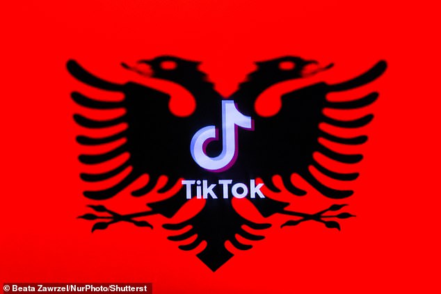 The major crackdown, the first of its kind in Europe, was sparked by the death of a 14-year-old boy who was stabbed by another student in November. Pictured: A TikTok logo on the Albanian flag.