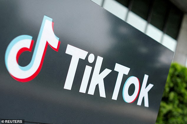 TikTok is banned in several countries, including India, Iran, Nepal, Afghanistan, and Somalia. (File image)