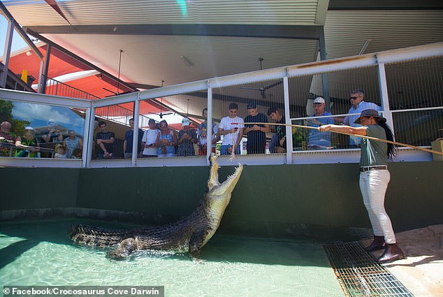 Crocosaurus Cove, a crocodile herpetarium and aquarium that had held Burt in captivity since 2008, announced Burt's death on Monday.