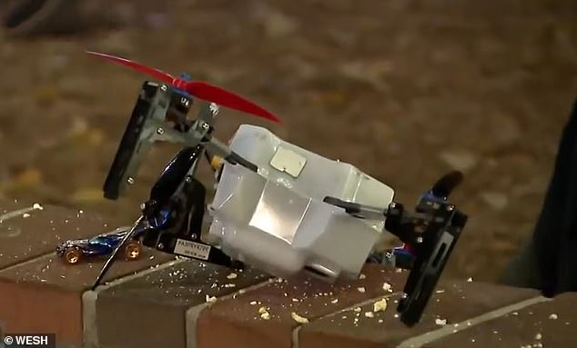 Pictured: One of the drones that fell hundreds of feet to the ground during the 6:30 p.m. show