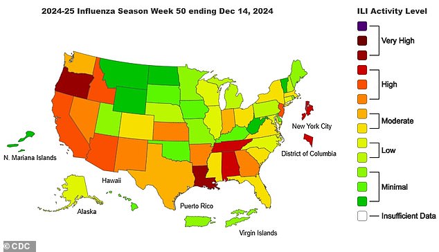 1734981170 356 Flu and RSV outbreak cancels Christmas events and closes schools