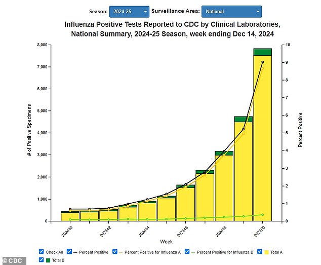 1734981170 882 Flu and RSV outbreak cancels Christmas events and closes schools