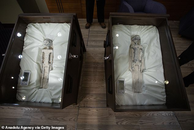 A 2023 analysis claimed that DNA from tiny corpses is not human, but from an 'unknown species'