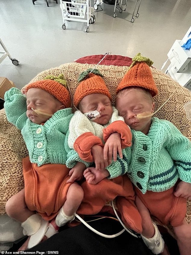 Identical triplets are so rare that they are thought to occur in only one in every 200 million births. From left to right: Enzo, Cruz, Aljo