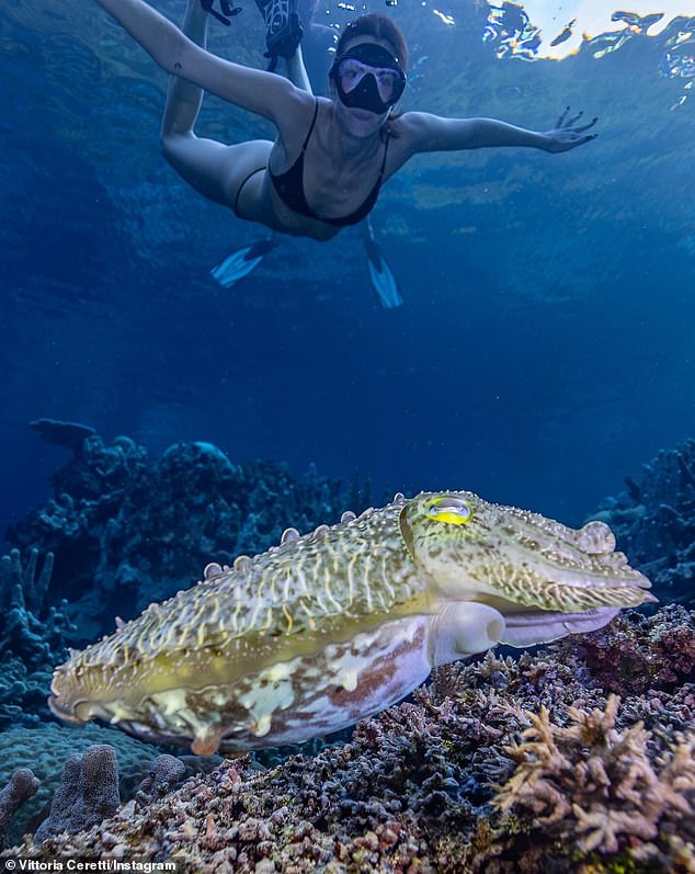 She shared photos and clips of herself exploring the ocean and snorkeling.