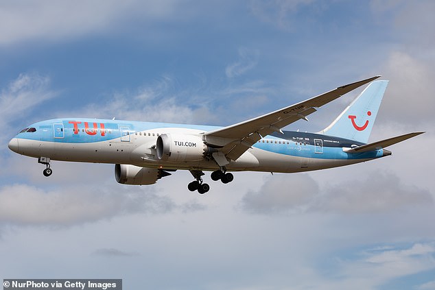 The TUI plane was traveling from Brussels airport to the coastal town of Hurghada when it was hit (file image)