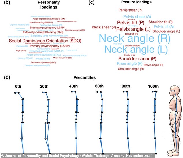 Photographs of the subjects in the studies were analyzed using a machine learning tool called OpenPOSE, which identified key points on the body (shown in figure d, above) and calculated angles to assign measurable numbers to their posture, such as angles of the neck, shoulders, spine and hip placement