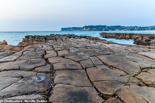 It is understood the boy was standing on a rocky outcropping on the north side of the beach with a group of friends when they were swept into the water.