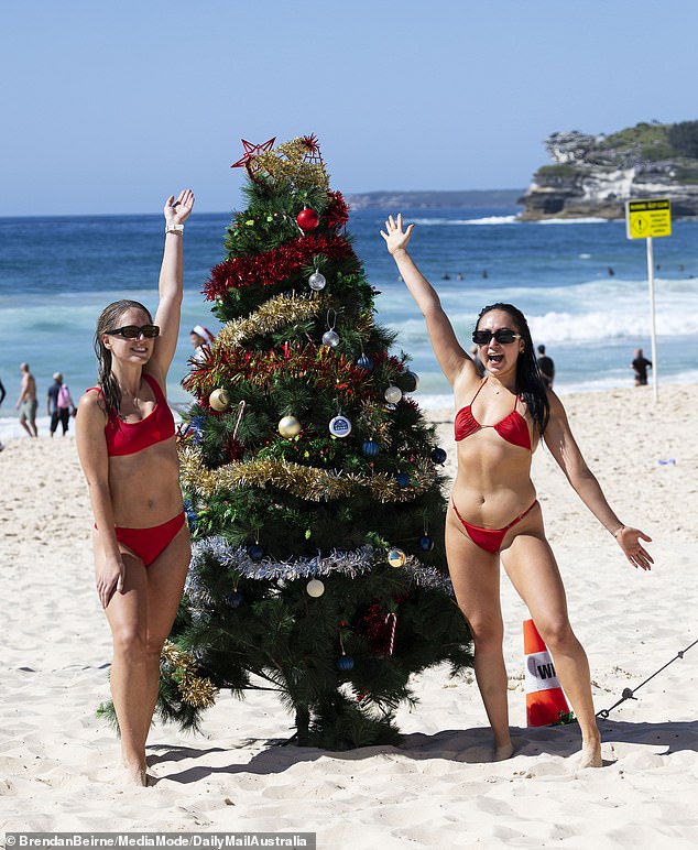 A Christmas tree was installed in the sand.