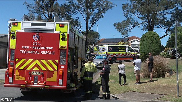 Emergency services, including firefighters and paramedics, attended the scene, but the young father could not be saved (pictured, emergency services at the scene).