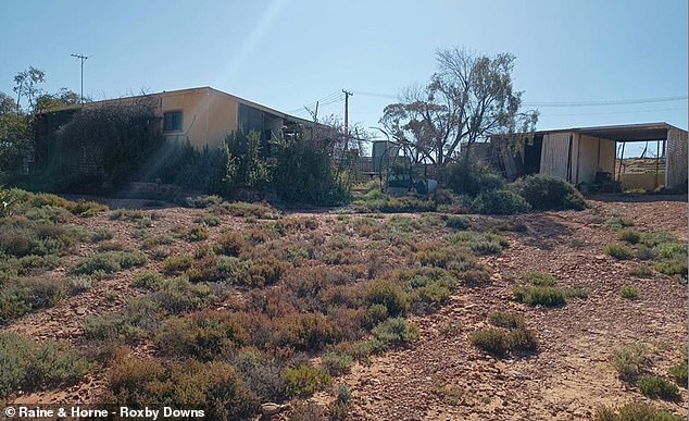 Australia's cheapest house for 2024 sold for $19,000 and was located in the outback opal mining town of Andamooka, 600km north of Adelaide.