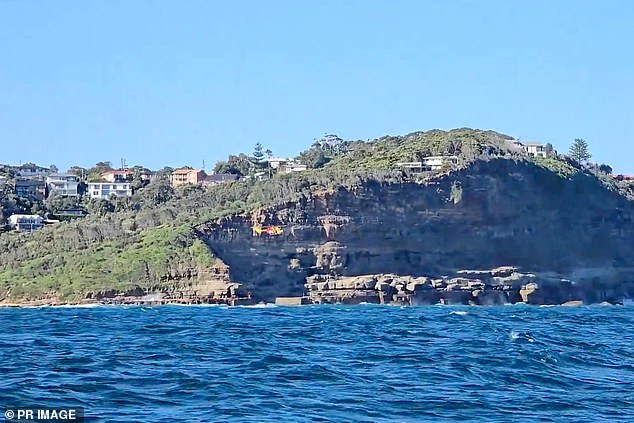 The search, which included staff from NSW Police, a NSW Ambulance, local surf lifeguards and the Westpac Rescue Helicopter Service (pictured), scoured the water where he was last seen .