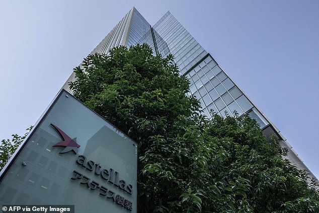 Astellas Pharma, a global leader in the development of transplant medicines, has long been a trusted name in the pharmaceutical world. The photo shows the headquarters in Tokyo, Japan